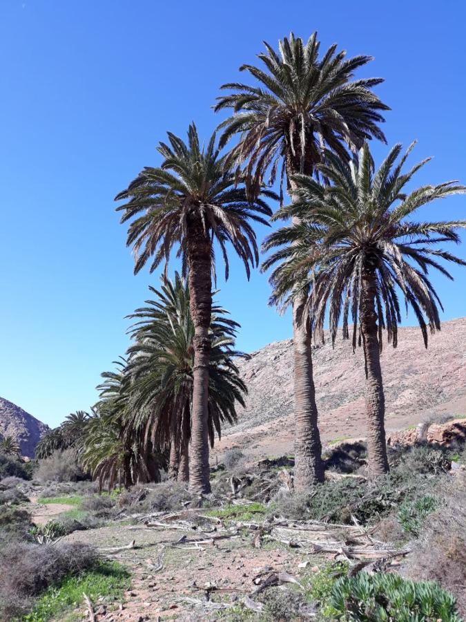 הוילה אנטיגואה La Pradera מראה חיצוני תמונה